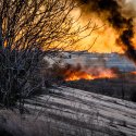 Incendiu Delta Văcărești - 24 februarie 2020