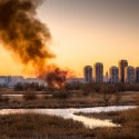 Incendiu Delta Văcărești - 24 februarie 2020