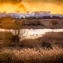 Incendiu Delta Văcărești - 24 februarie 2020