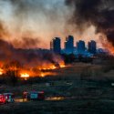 Incendiu Delta Văcărești - 24 februarie 2020