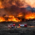 Incendiu Delta Văcărești - 24 februarie 2020