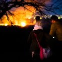 Incendiu Delta Văcărești - 24 februarie 2020