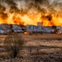 Incendiu Delta Văcărești - 24 februarie 2020