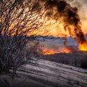 Incendiu Delta Văcărești - 24 februarie 2020