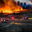 Incendiu Delta Văcărești - 24 februarie 2020