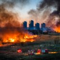 Incendiu Delta Văcărești - 24 februarie 2020