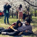 Grădina Japoneză din Herăstrau