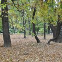 Parcul Cismigiu toamna 2011