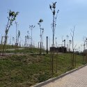 Parcul Teilor după inaugurare (Titanul Nou)