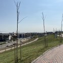 Parcul Teilor după inaugurare (Titanul Nou)