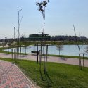 Parcul Teilor după inaugurare (Titanul Nou)