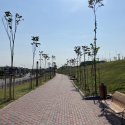 Parcul Teilor după inaugurare (Titanul Nou)