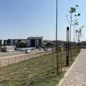 Parcul Teilor după inaugurare (Titanul Nou)