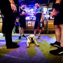 La bar - Festival Artmania în Quantic Pub - Șoseaua Grozăvești