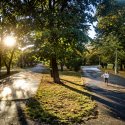 Cu zemul - Parcul Tineretului