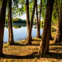 Spre pod - Excursie - Ziua Internațională a fotografiei