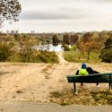 Bancă - Parcul Tineretului