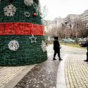 Poză cu bradul de Crăciun - Parcul IOR