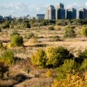 Asmita Gardens văzută din Parcul Natural Văcărești