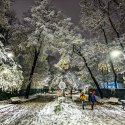 Iarna - Parcul Național