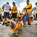 Suporteri - Euro 2024 - Piața Universității