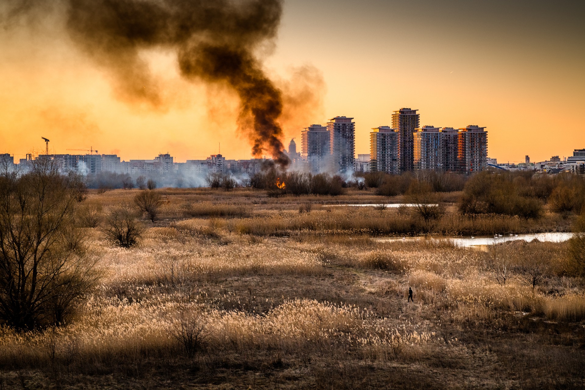 Incendiu Delta Văcărești - 24 februarie 2020