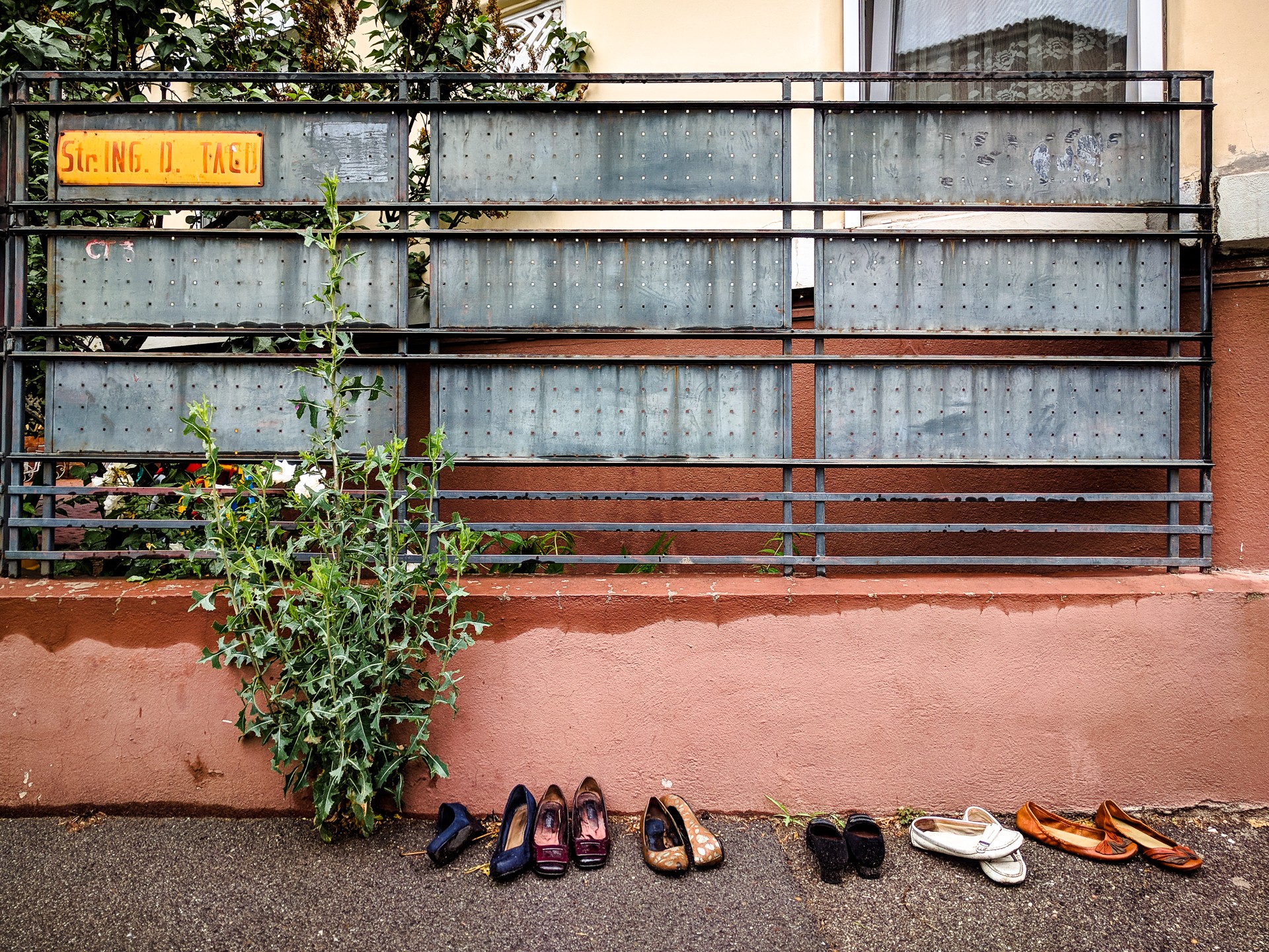 Pantofi abandonați - Strada Dimitrie Tacu