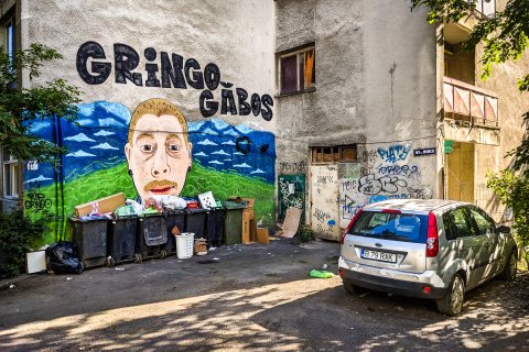 Ghenă cu graffiti - Intrarea Muncii