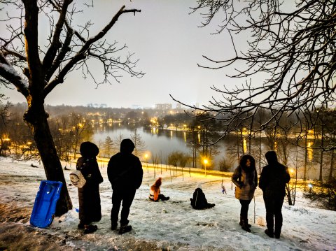 Zăpada în parcul Tineretului