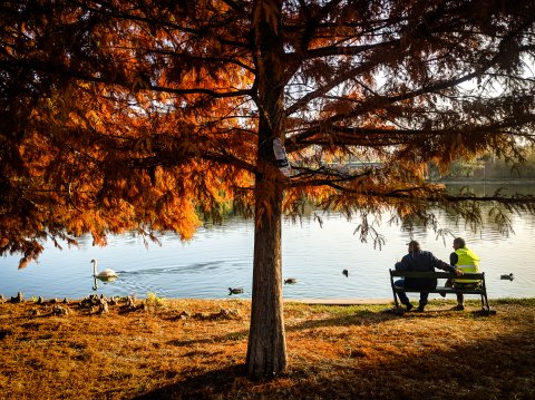 Toamna - Parcul Tineretului