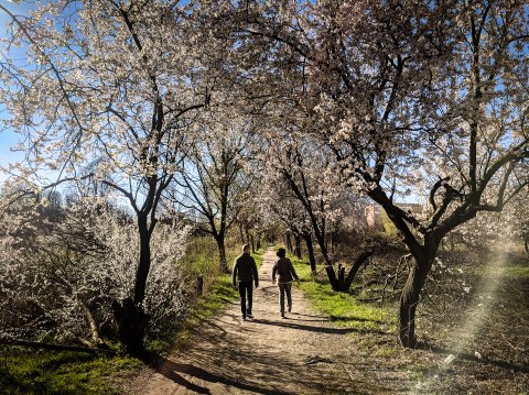 Zona retrocedată - Parcul I.O.R.