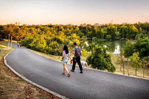 Plimbare în parc - Excursie - Ziua Internațională a fotografiei