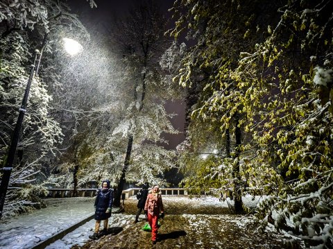 Iarna - Parcul Național