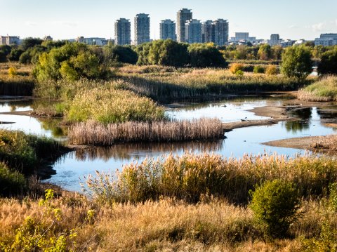 Bălți - Parcul Natural Văcărești