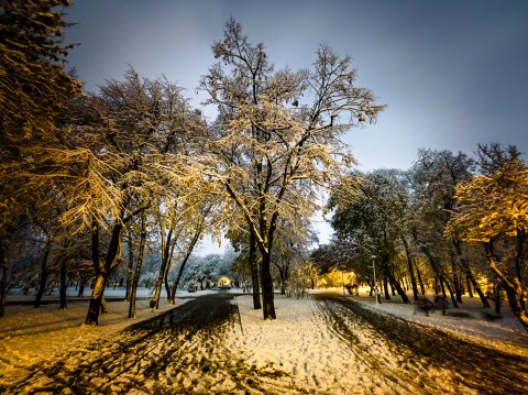 Iarna - Parcul Tineretului