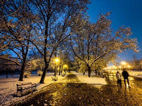 Iarna - Parcul Tineretului