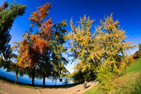 Parcul Tineretului