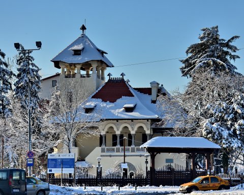 Vila Minovici - recent restaurata