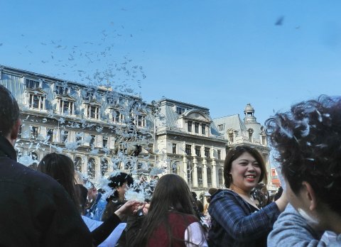 Bataia cu perne la Universitate