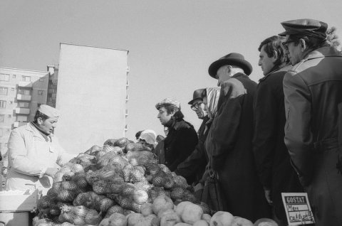 Coada la legume-fructe in piata Unirii