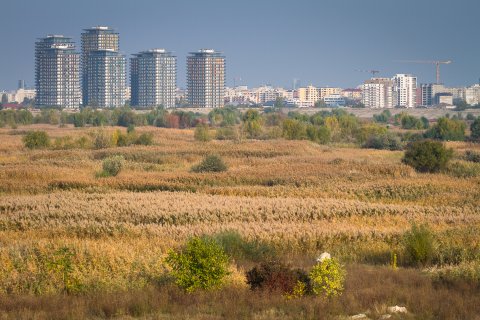 Delta Vacaresti - Toamna