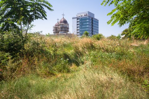 Biserica Sf. Vineri Noua