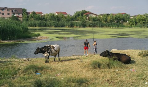 Lacul Dobroesti