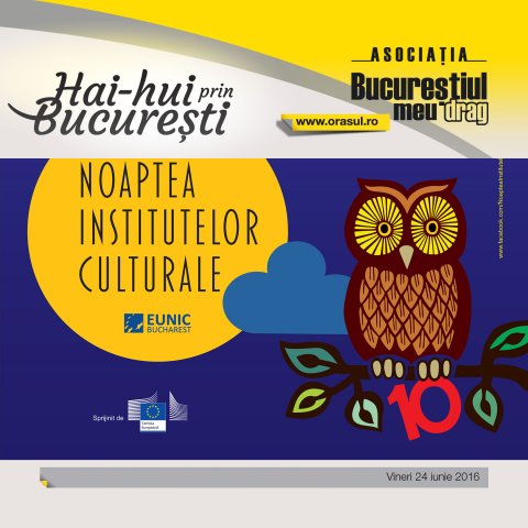 Excursie de Noaptea Institutelor Culturale