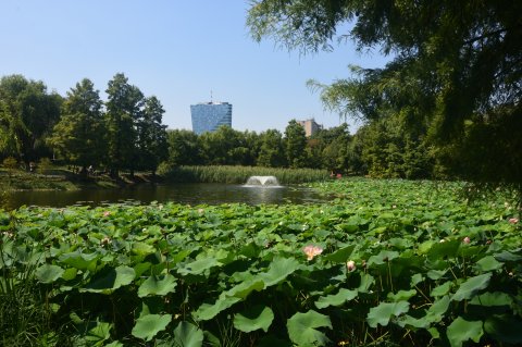 Parcul Circului