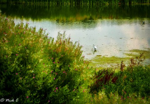 Lacul Bordei