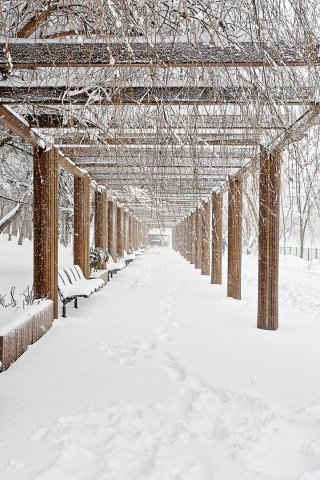 Iarna in parc