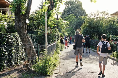 In trecere pe strada Doicesti