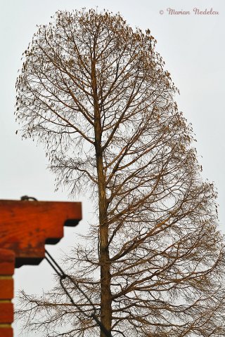 Echilibrul din natura.