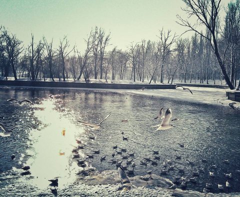 Iarna pe lac